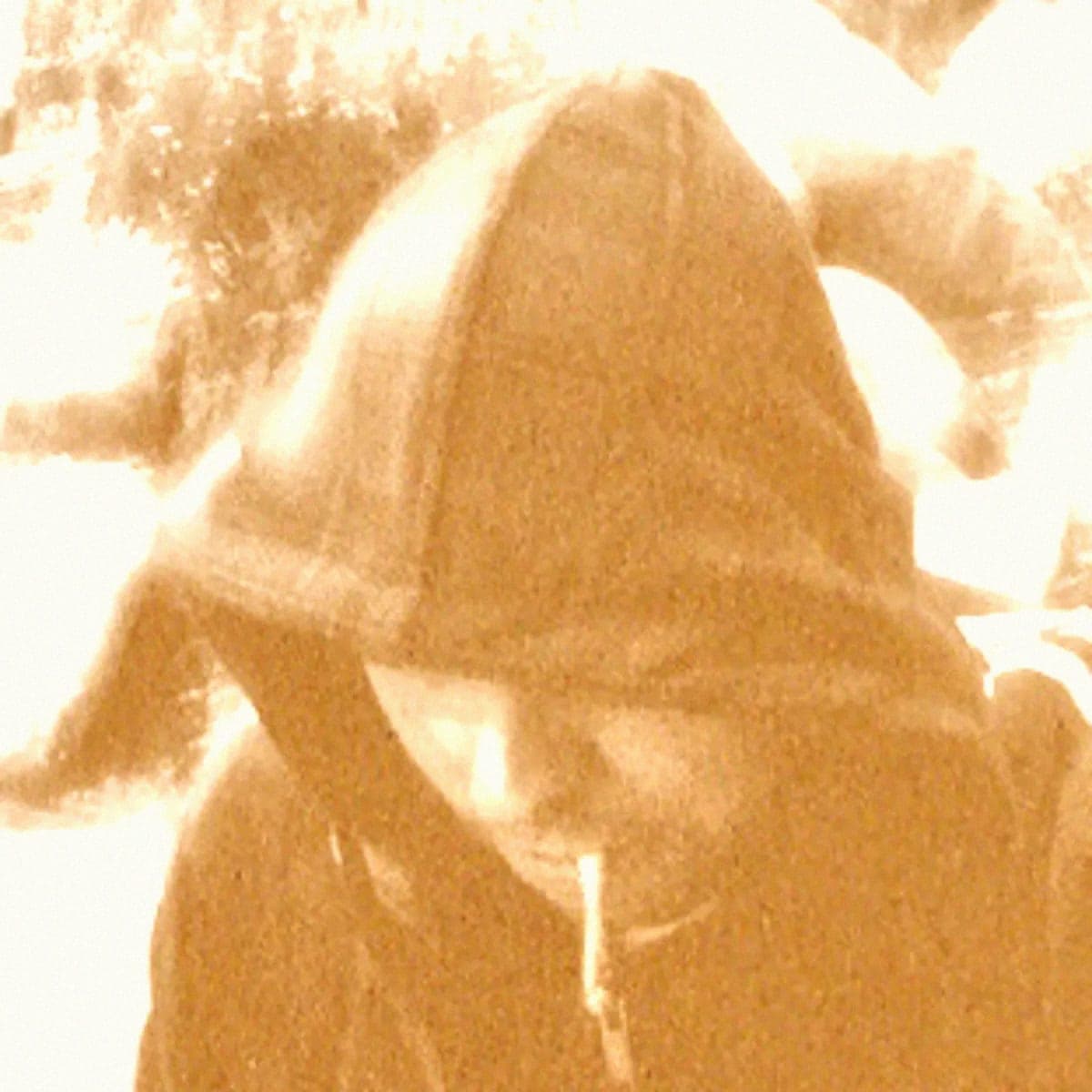 STL veröffentlicht ein 16-Track-Tripelalbum auf klarem Vinyl, auf seinem eigenen Label Something